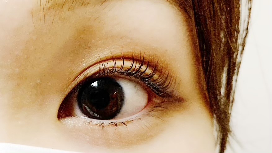 パリジェンヌラッシュ